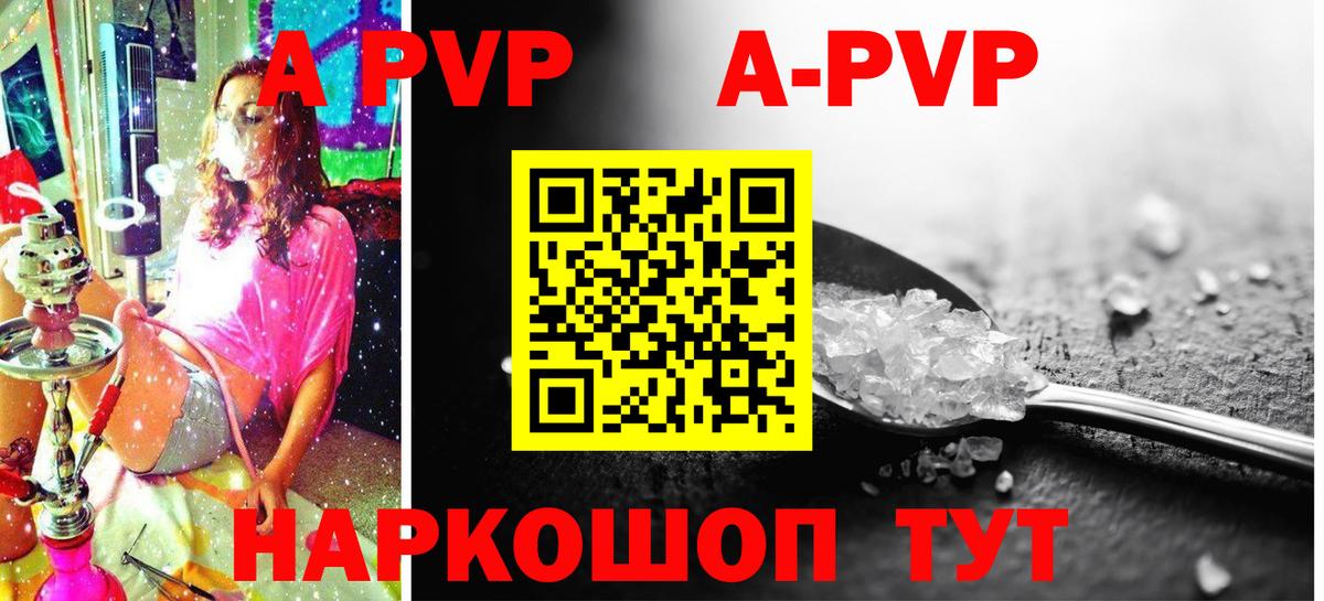 A PVP СК КРИС Обь