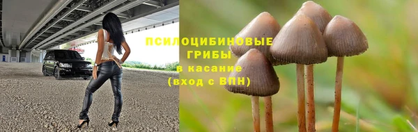 ECSTASY Михайлов
