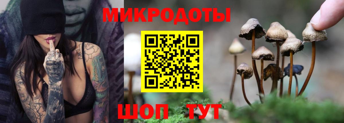 Псилоцибиновые грибы мухоморы  Вход с VPN  Обь 